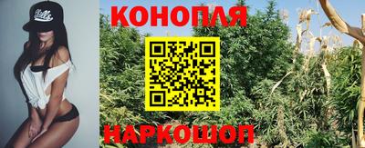 каннабис Сланцы