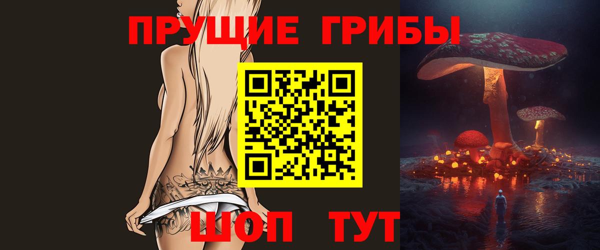 Псилоцибиновые грибы GOLDEN TEACHER  Вход с VPN  Псилоцибиновые грибы Psilocybine cubensis  Ногинск 